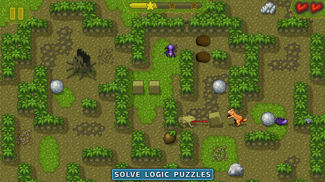 Sokoban Game: Puzzle in Maze 