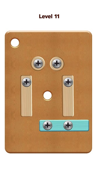 Nuts Bolts Wood Puzzle Games