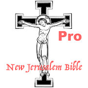 NJB Audio Bible Pro