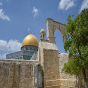 Aqsa Turu in Turkish