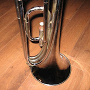 MB Horn for Caustic