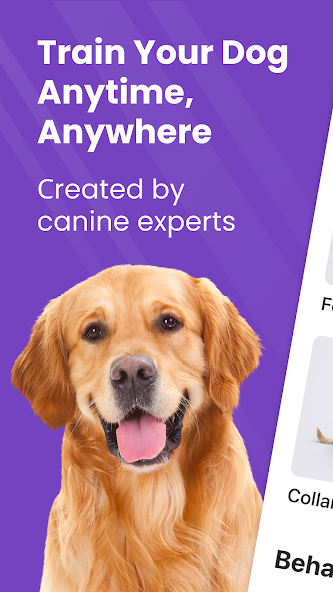 Dog Training App — GoDog