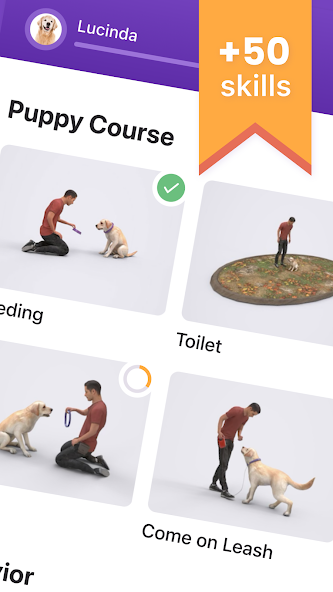 Dog Training App — GoDog