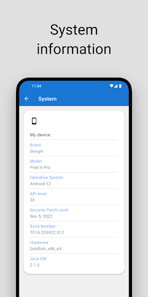 System information