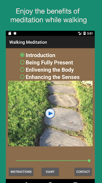 Walking Meditations