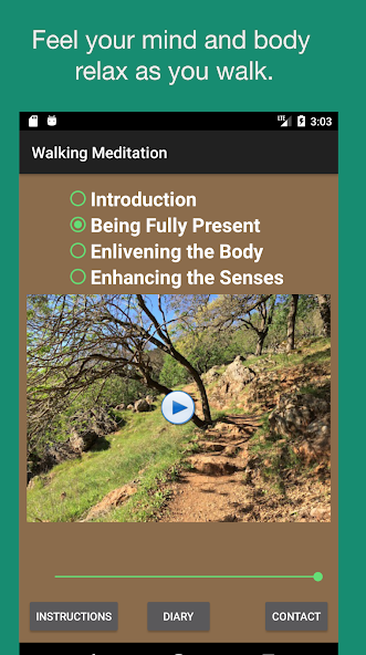 Walking Meditations