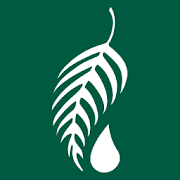 Melaleuca