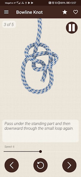 Animated Knots 3D Pro – How to