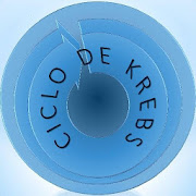 Bioquímica - Ciclo de Krebs