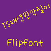 TSfashionking™ Korean Flipfont