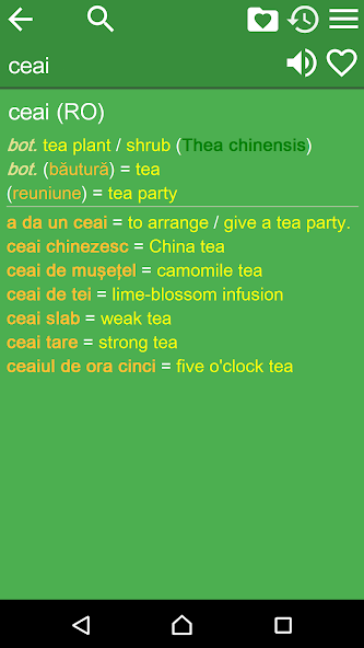 English Romanian Dictionary