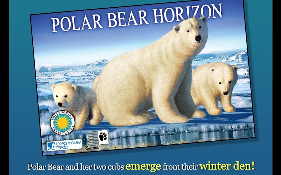 Polar Bear Horizon