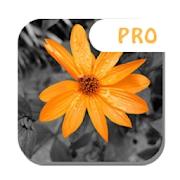 Color Splash -Photo Editor Pro