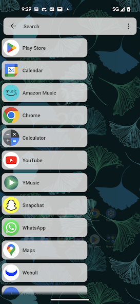 Lucid Launcher Pro