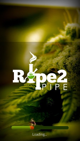 Ripe2Pipe Harvesting Scanner