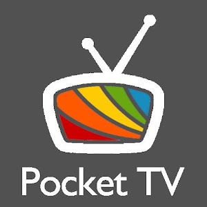 Pocket TV