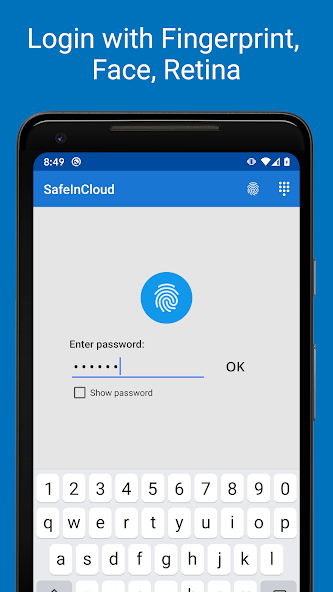 Password Manager SafeInCloud