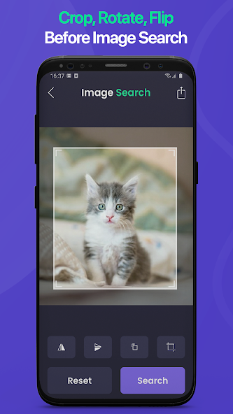 Reverse Image & Photo Search