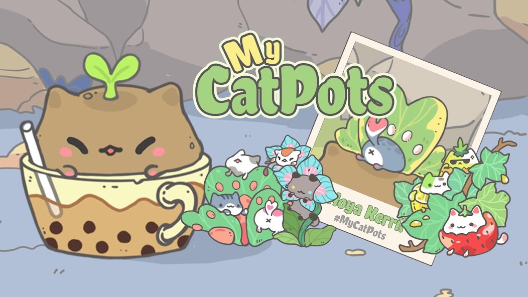 My CatPots 