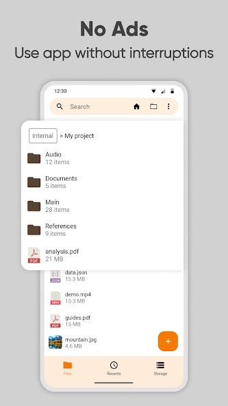 Simple File Manager Pro