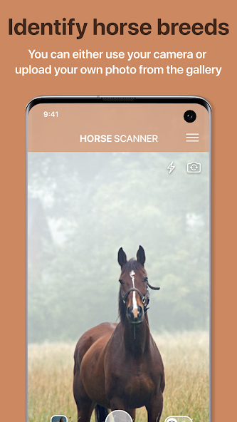 Horse Scanner