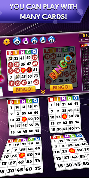 Bingo - Offline Board Game 