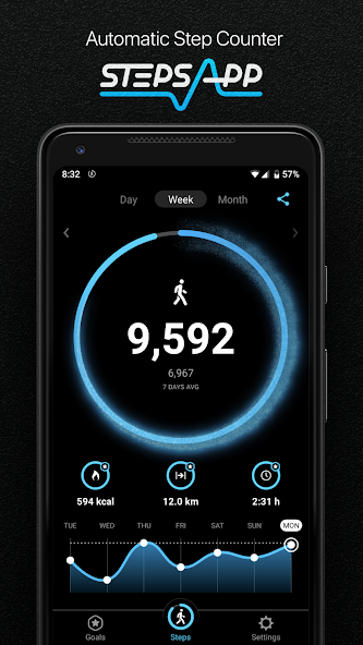 StepsApp – Step Counter