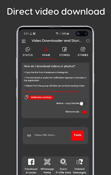 Video Downloader and Stories