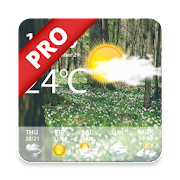 Weather Forecast Pro