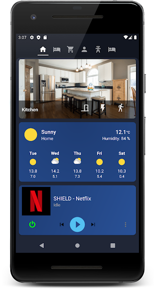 Ariela Pro - Home Assistant Cl