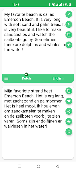 Dutch English Translator