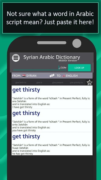 Syrian Arabic Dictionary