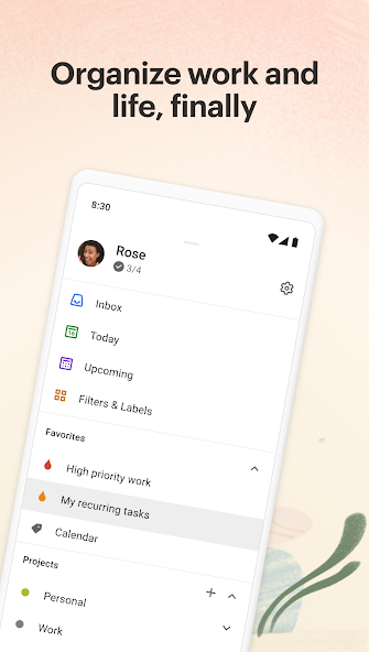 Todoist: to-do list & planner