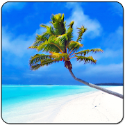 Maldives 3D LWP, True Weather