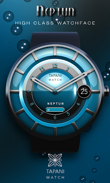 Neptun wear watch face