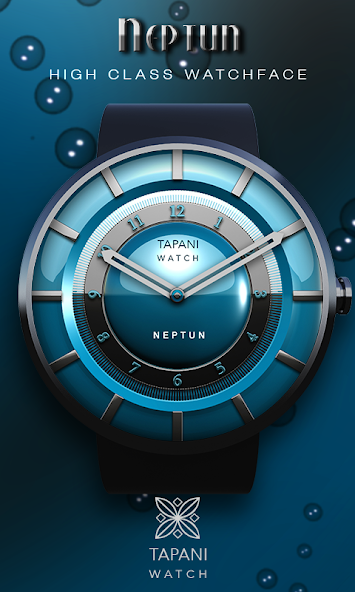 Neptun wear watch face