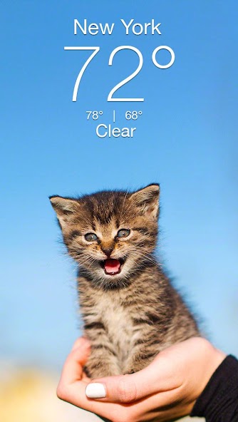 Weather Kitty - App & Widget