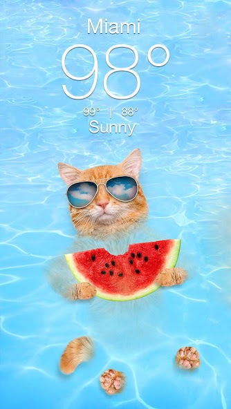 Weather Kitty - App & Widget