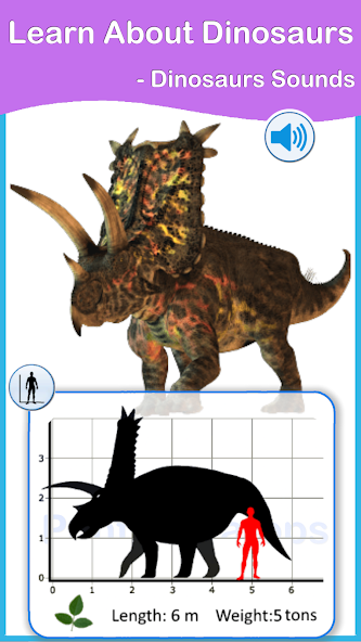 Dinosaurs Cards PRO