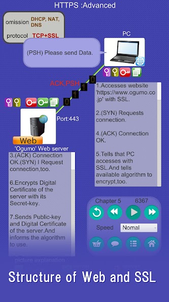 TCP/IP Animation