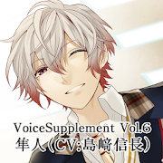 Voicesupplement