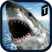 Crazy Shark 3D Sim 