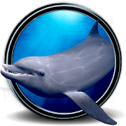 Dolphins Real 3D