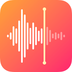 Voice Recorder & Voice Memos