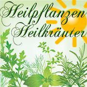 Heilpflanzen / Heilkräuter