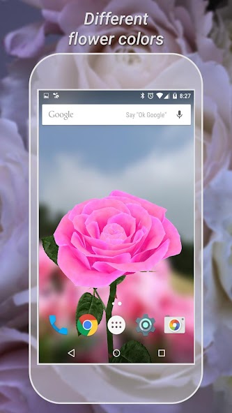 3D Rose Live Wallpaper