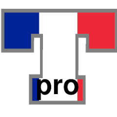 French Verb Trainer Pro