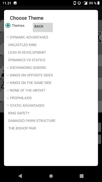 Chess Middlegames