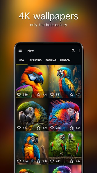 Parrot Wallpapers 4K