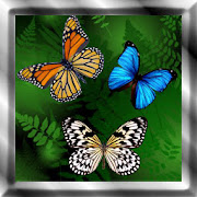 Butterfly Live Wallpaper